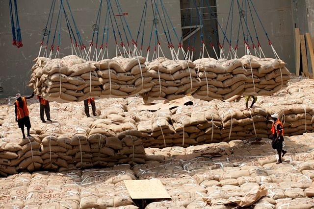 Côte d`Ivoire : rencontre des acteurs mondiaux de la filière cacao à Abidjan